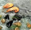 Seafood