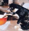 Copycat Recipes