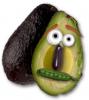Vegetarian