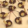 Nana Lee's Cookie Creations