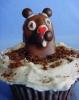 Groundhog Day Party