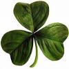 St. Patrick's Day Muscular Dystrophy Bake Sale