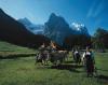 The Frolicking Fondue Femmes - Fab Swiss Fare!