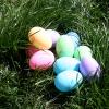 Hippity Hoppity Easter