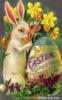 Easter Weekend Brunch