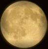 The Sassy Moon Goddess