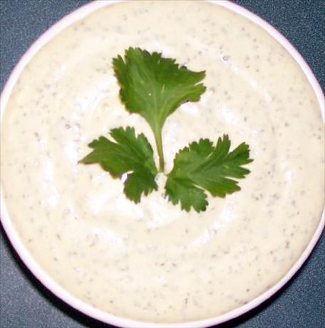 Cilantro Mayonnaise - South Beach Diet. Photo by L. Duch