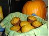 Pumpkin Walnut Muffins. Recipe by Marie