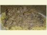 Beef Stroganoff With Cremini & Porcini Mushrooms