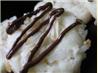 Unknownchef86's Coconut Surprises