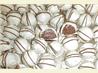 Easy Baileys Truffles. Recipe by Pvt Amys Mom