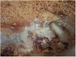 Scalloped Potatoes With Bread Crumb Topping