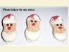 Santa Cookies