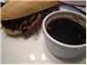 French Dip Roast Beef for the Crock Pot