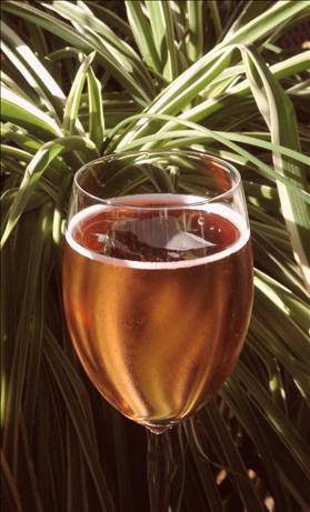 Cranberry Mimosa. Photo by Bev