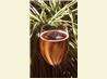Cranberry Mimosa. Recipe by Chopin Liszt