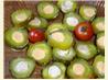 Stuffed Dill Pickles. Recipe by bullwinkle