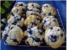 Melt in Your Mouth Blueberry Muffins
