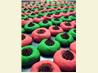 Peppermint Christmas Cookies