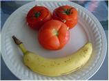 Tomatoes Stuffed With Tuna, Capers and Herbs