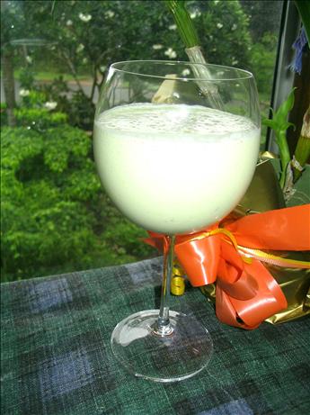 Avocado Smoothie. Photo by Missy Wombat