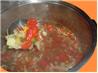 The Original Cabbage Soup Diet
