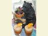 Frozen Whiskey Sour Punch. Recipe by ~Nimz~