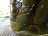 Pickled Hot Jalapeno Peppers