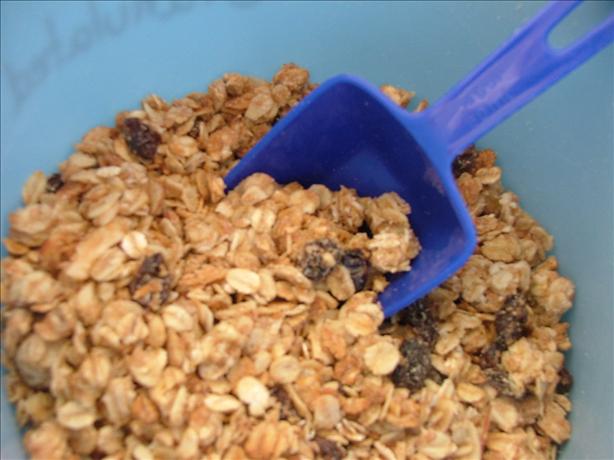 Cinnamon Raisin Granola. Photo by A Messy Cook