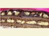 Whipped Chocolate Ganache Filling (or Frosting)