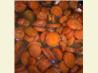 Pretty to Look at Brown Sugar Glazed Carrots. Recipe by Crissi Morris