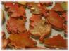 No Fail Sugar Cookies