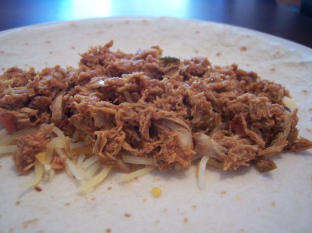The Best Shredded Chicken (Crock Pot). Photo by jrusk