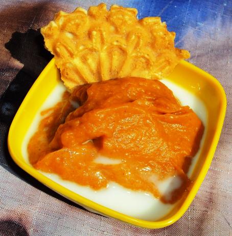 Fat Free Pumpkin Pudding. Photo by Geniale Genie