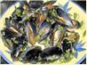 Steamed Mussels With Wine and Cream. Recipe by Evie*