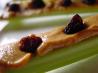 Ants on a Log