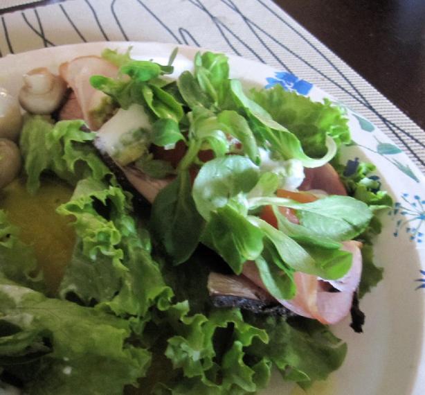 California Lettuce Wrap - South Beach Diet. Photo by Katanashrp