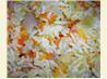 Oven Baked White Rice,  Perfect Every Time!