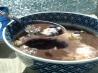 Instant Black Bean Soup