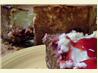 Double Cherry Cheesecake