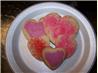Sugar Cookies - No Break, Fail-Safe and Foolproof. Recipe by AngelaTN