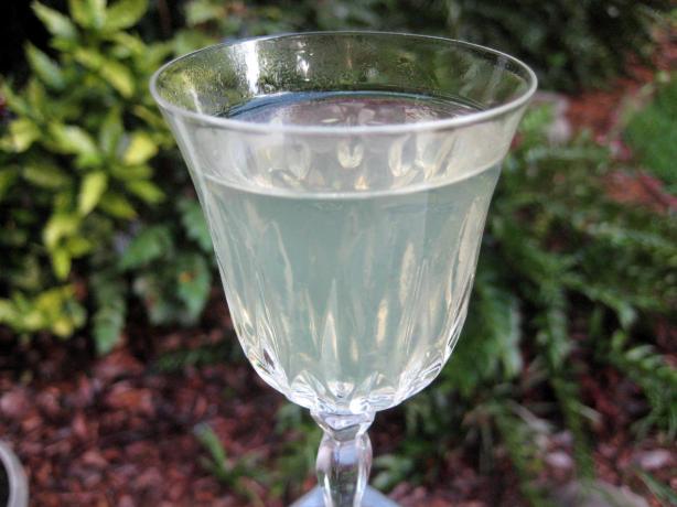 Limoncello Martini. Photo by gailanng