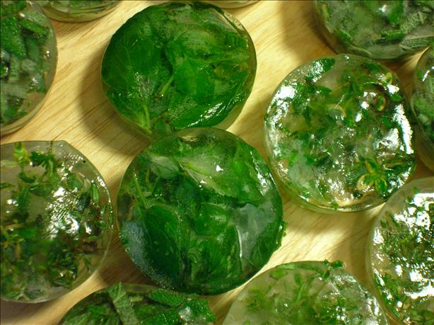 Herbal Ice Cubes. Photo by - Carla -