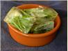 Herbal Ice Cubes