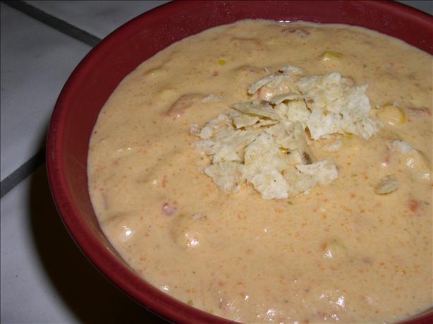 Vegetarian Fiesta Con Queso Soup. Photo by Bayhill