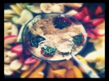 Awesome Hawaiian Dip