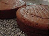 Double-layer Chocolate Cake