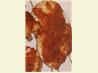 Hellmann's Parmesan Crusted Chicken (Low-fat Version)