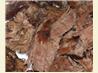 Crock Pot Leg of Lamb