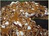 Deep Dish Rocky Road Dessert Pizza
